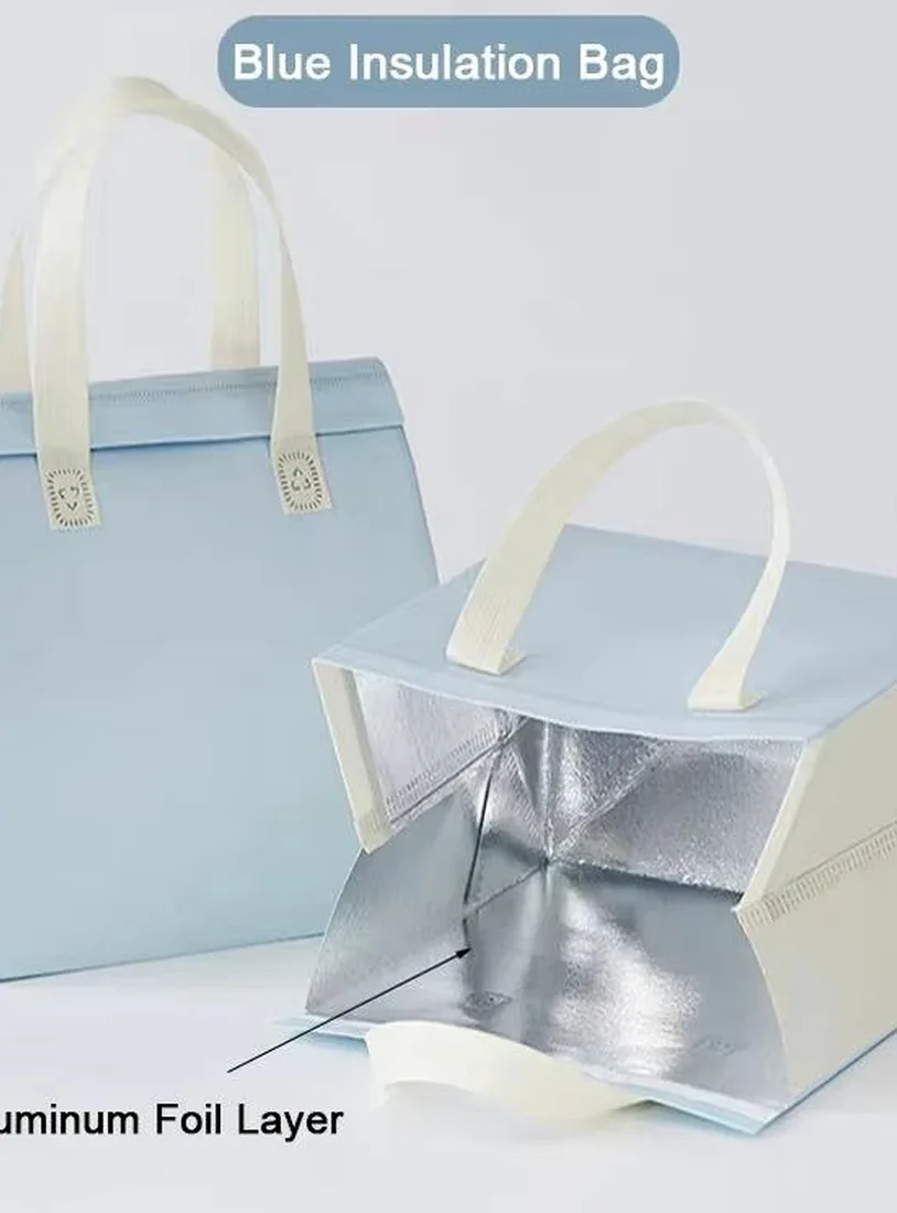 Insulated bag and lining design reference